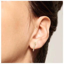 Load image into Gallery viewer, Aimee Stud Earrings